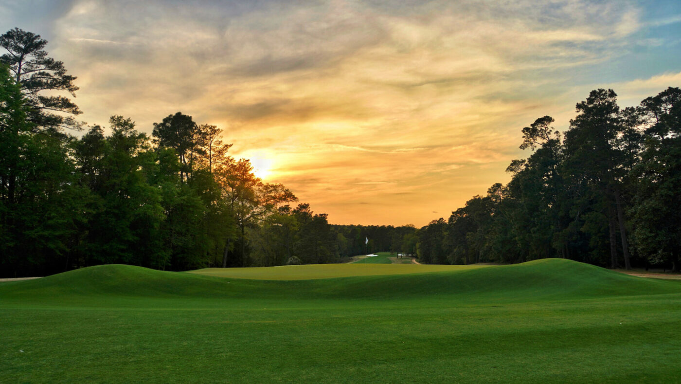 Palmetto Golf Club