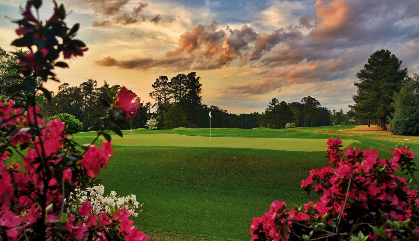 Palmetto Golf Club